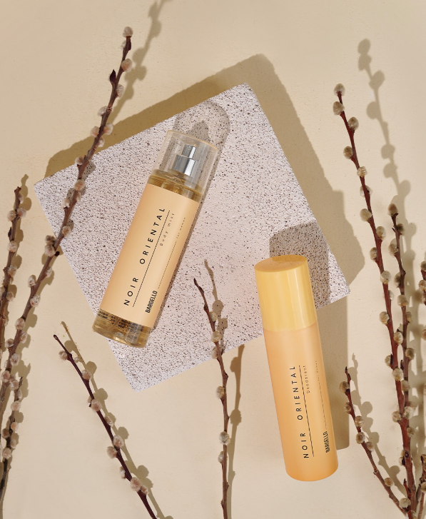 Capture d’écran 2025-03-03 013218